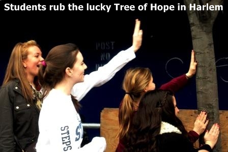 Students rubbing Tree of Hope 4 in Harlem with Big Apple Jazz Tours
